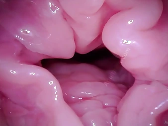 Watch Muff Coaster's Labia obtain a camera in POV - A hymen talisman video!